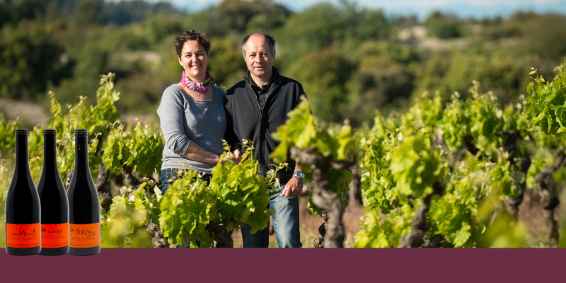 Du Grand Bourgogne Au Grand Minervois : Du Domaine Gros Tollot